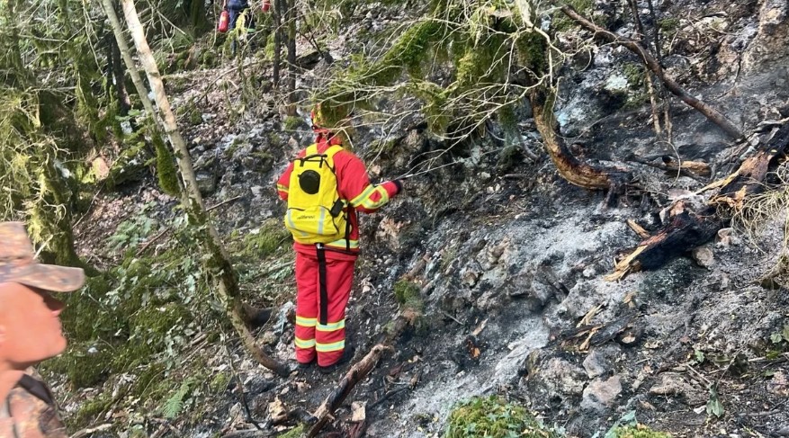 Zjarr masiv në Pyllin e Sodës në Vlorë, pesë vatra aktive njëkohësisht vënë në alarm autoritetet